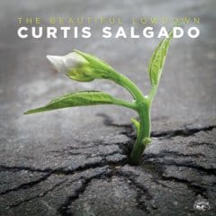 the-beautiful-lowdown, Curtis Salgado